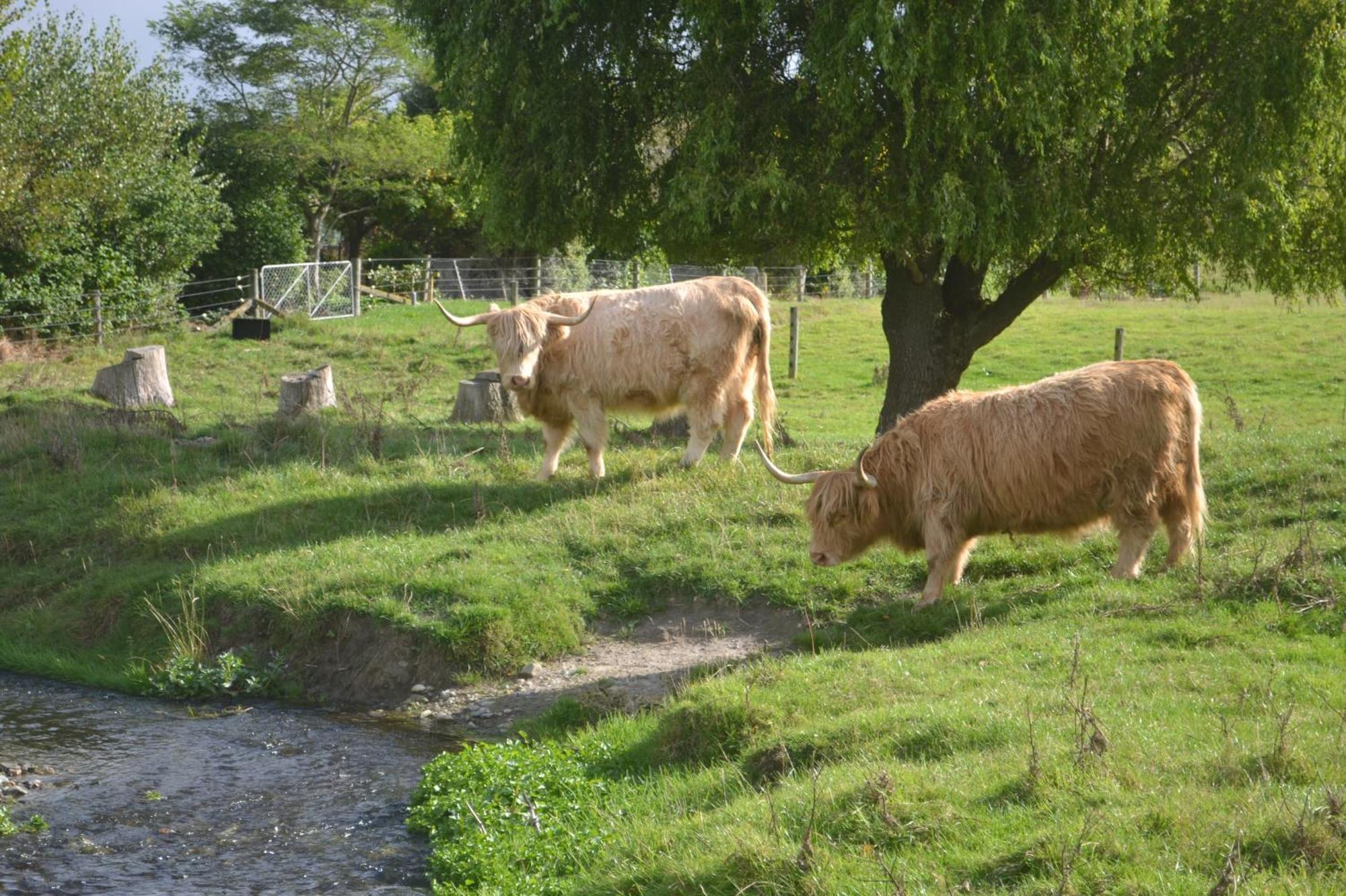 Highlands On Homestead อามารู ภายนอก รูปภาพ